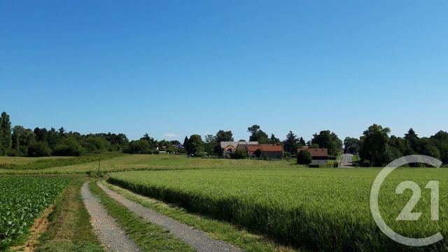 terrain à vendre - 517.0 m2 - BOULLAY LES TROUX - 91 - ILE-DE-FRANCE - Century 21 Ld Immobilier